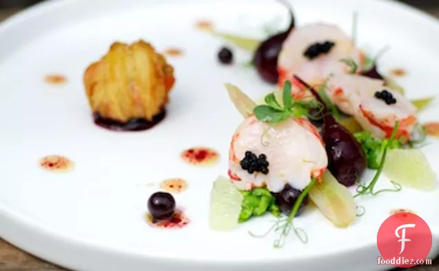 Salad Of Lobster, Fennel And Beetroot With Savoury Blackcurrants