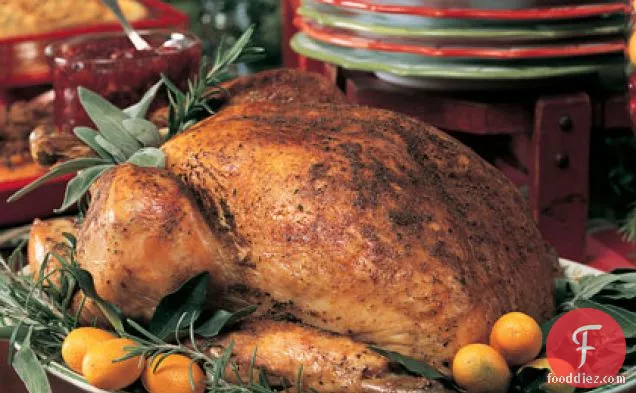 Seasoned Roast Turkey