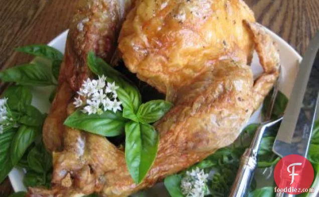 Turkey Day