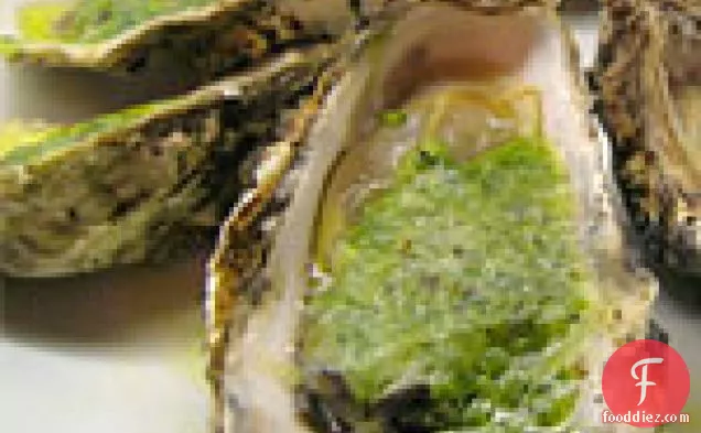 Grilled Oysters With Pesto