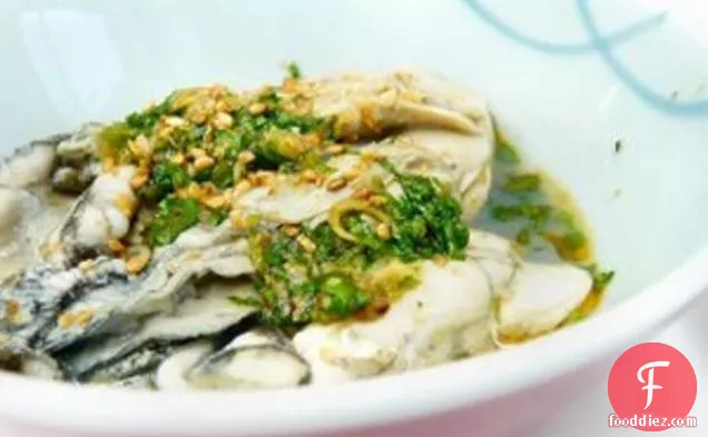 Oysters With Cilantro-sesame Dressing
