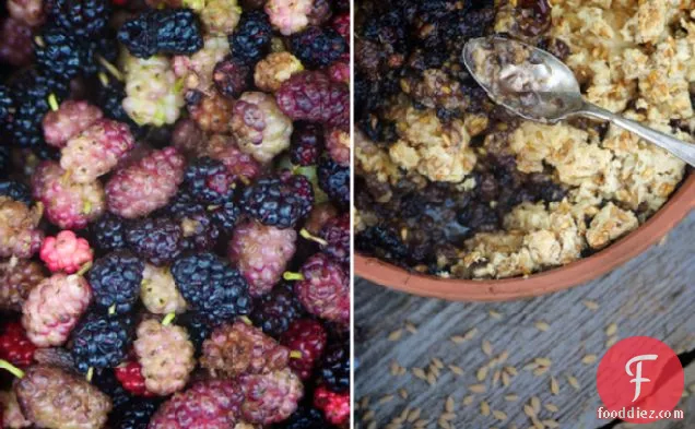 Here We Go Around the Mulberry Bush: Mulberry and Buttered Einkorn Crumble