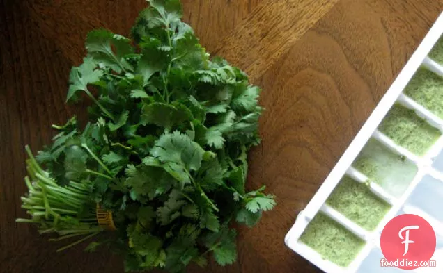 Cilantro Pesto