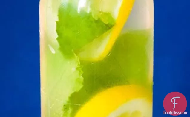 Charlotte's Half-frozen Fresh-minted Lemon Water