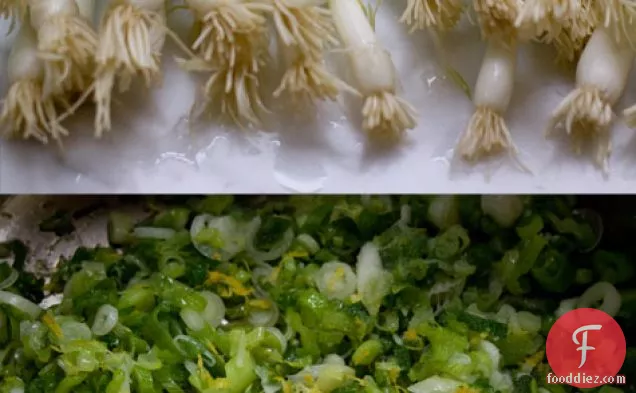 Macaroni Salad