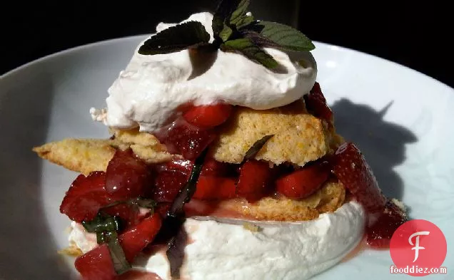Market Strawberries & Chantilly Cream With Cornmeal Shortcakes