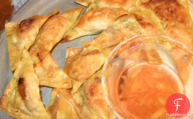 Salmon Won Tons With Ginger & Red Vinegar Dipping Sauce