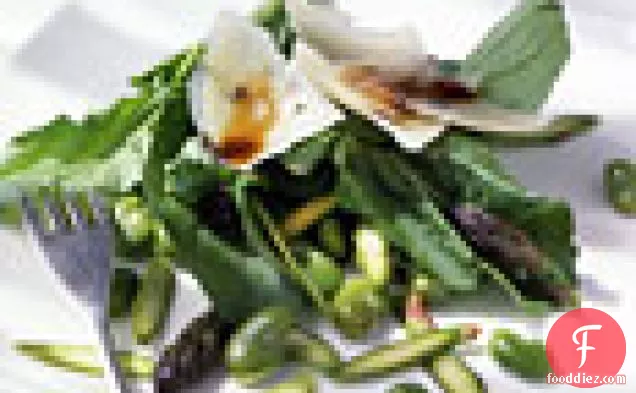 Fava Bean, Asparagus, and Arugula Salad with Shaved Pecorino