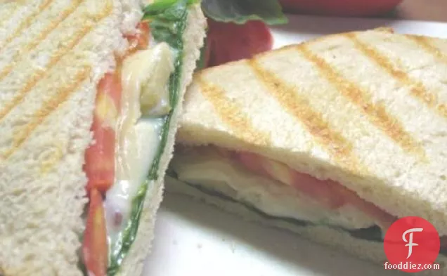 Four Cheese Panini With Basil Tomatoes