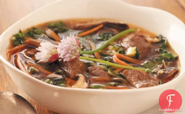 Asian Vegetable-Beef Soup