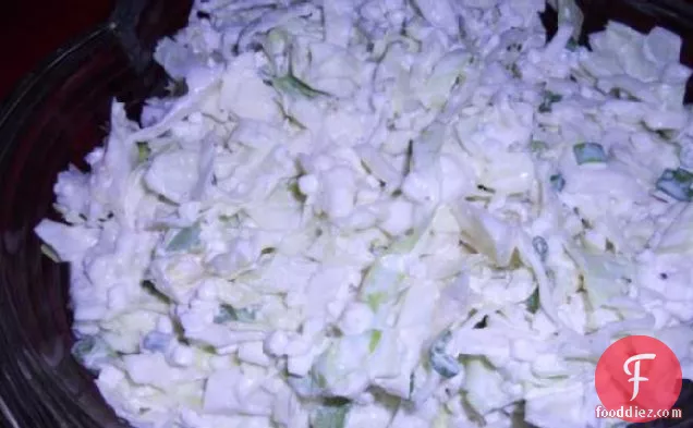 Low Fat Creamy Cabbage and Onion Salad
