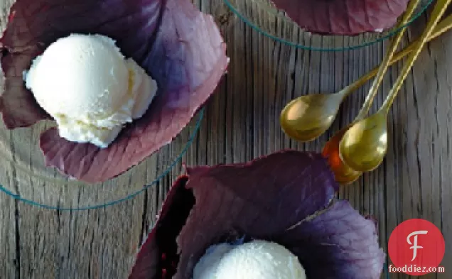 Chocolate Cabbage Leaves with Vanilla Ice Cream