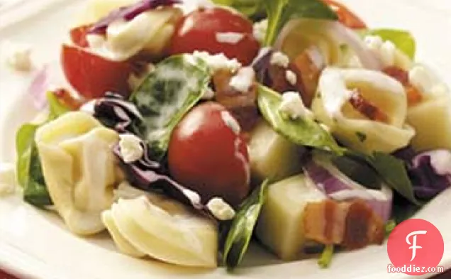 Layered Tortellini Salad