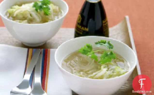 Asian Turkey-Noodle Soup