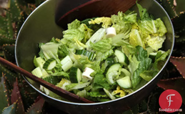 Crunchy Celery and Romaine Heart Salad