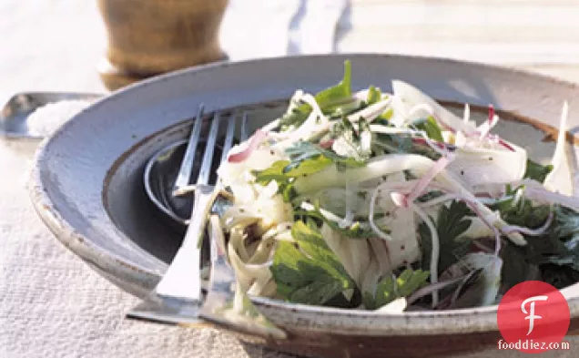 Fennel, Red Onion, and Parsley Salad