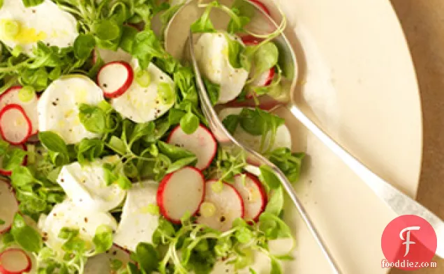 Spring Salad with Fresh Mozzarella
