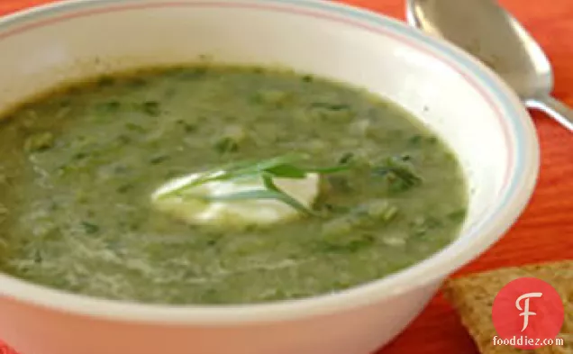 Lettuce and Tarragon Soup