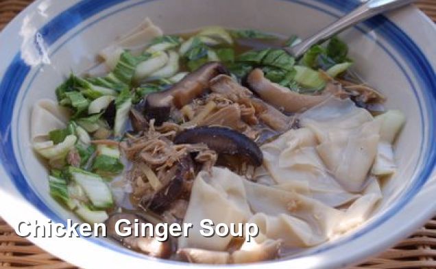 Chicken Ginger Soup - Dairy Free Recipes