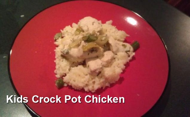 Kids Crock Pot Chicken - Lunch Recipes