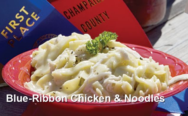 Blue-Ribbon Chicken & Noodles - Dairy Free Recipes