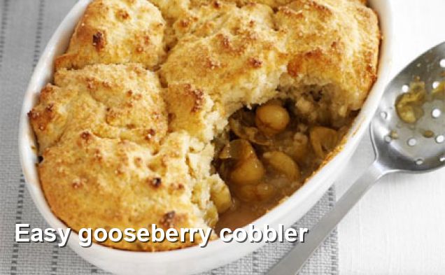 Easy gooseberry cobbler - Southern Recipes