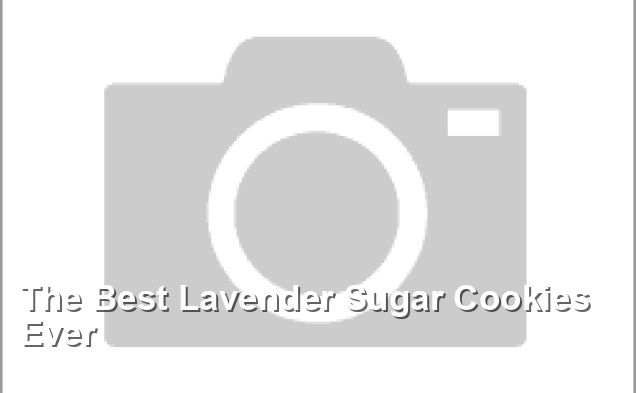 The Best Lavender Sugar Cookies Ever - Lacto Ovo Vegetarian Recipes