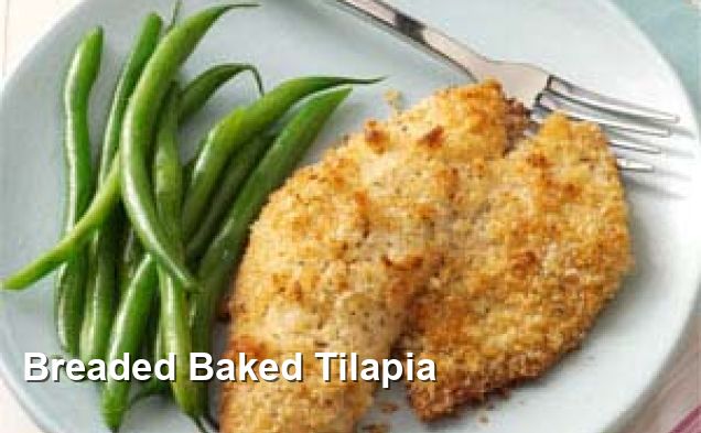 Breaded Baked Tilapia - Pescatarian Recipes