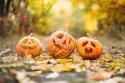The 20 Best Pumpkin Recipes