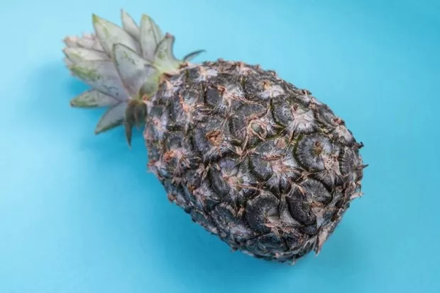 Tropical Pineapple Dessert