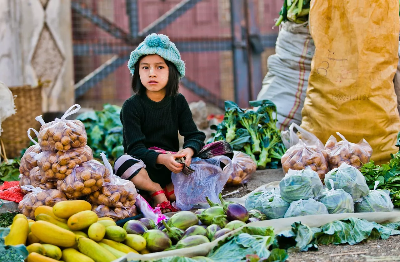 वैश्विक पाक प्रसन्नता की खोज: भोजन और संस्कृति के माध्यम से एक यात्रा