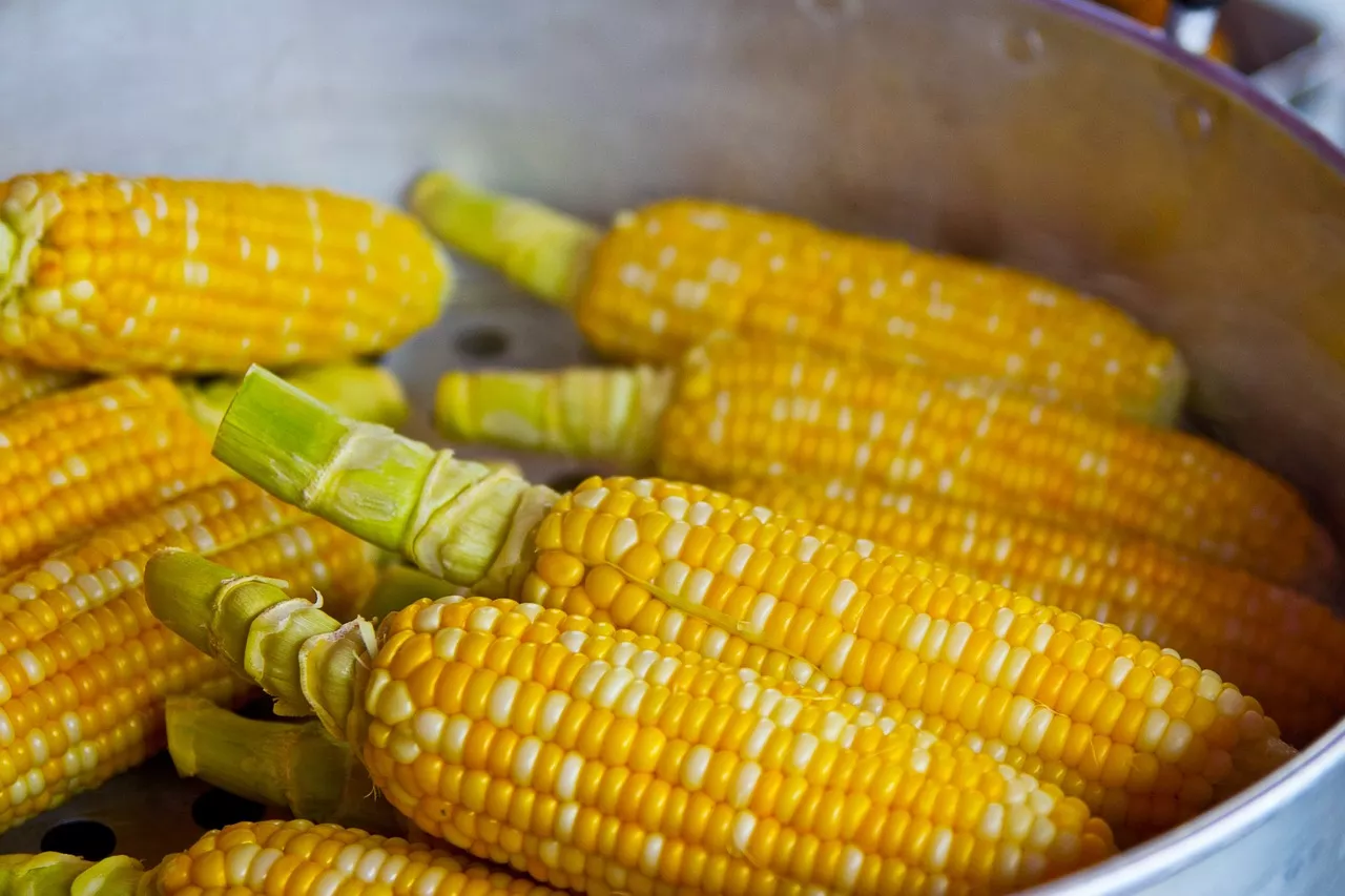 Corn on the Cob Recipes: Easy and Delicious Ideas for Your Next Cookout